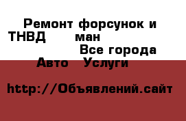 Ремонт форсунок и ТНВД Man (ман) TGA, TGL, TGS, TGM, TGX - Все города Авто » Услуги   